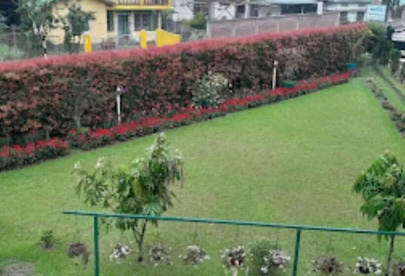 Pension Bononi
