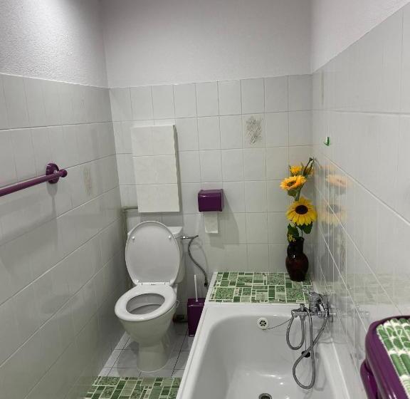 Pension švýcarský Dům špindlerův Mlýn