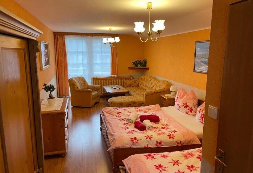 Pension švýcarský Dům špindlerův Mlýn