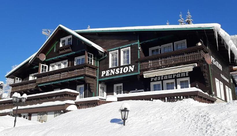 Pension švýcarský Dům špindlerův Mlýn