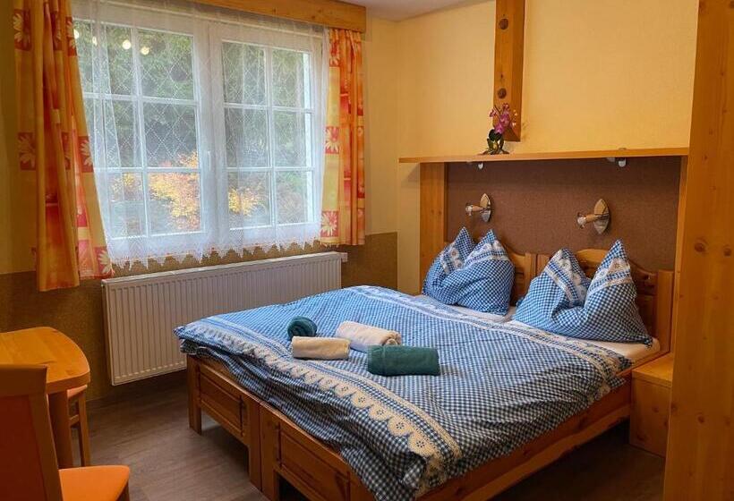 Pension švýcarský Dům špindlerův Mlýn