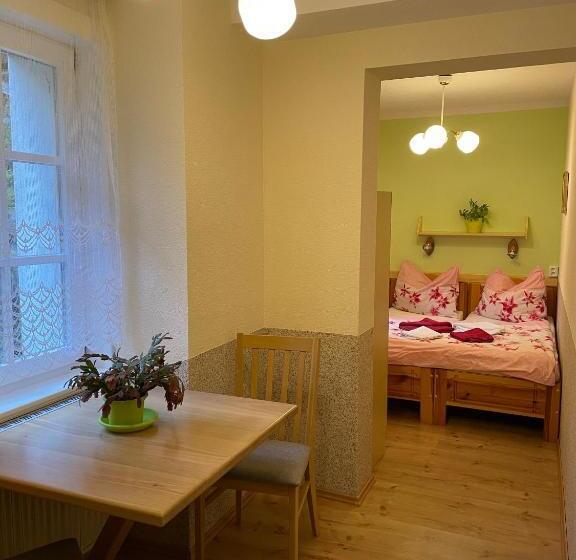 Pension švýcarský Dům špindlerův Mlýn