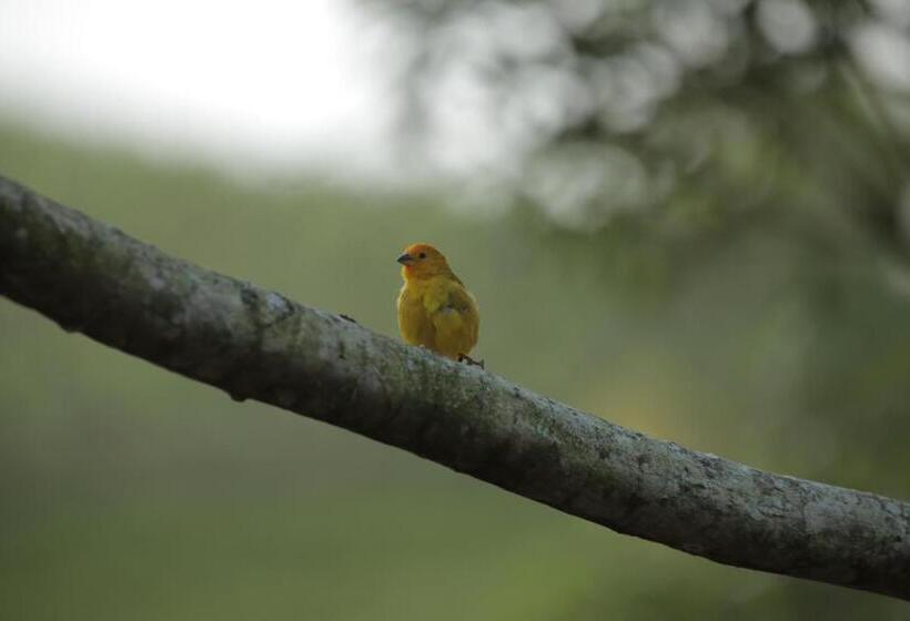 הוסטל Pousada Casa Azul