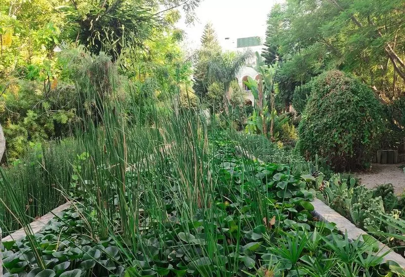 ベッドアンドブレックファースト Babil Bahçeleri Butik Hotel & Cafe