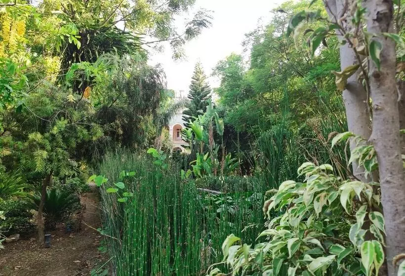 ベッドアンドブレックファースト Babil Bahçeleri Butik Hotel & Cafe