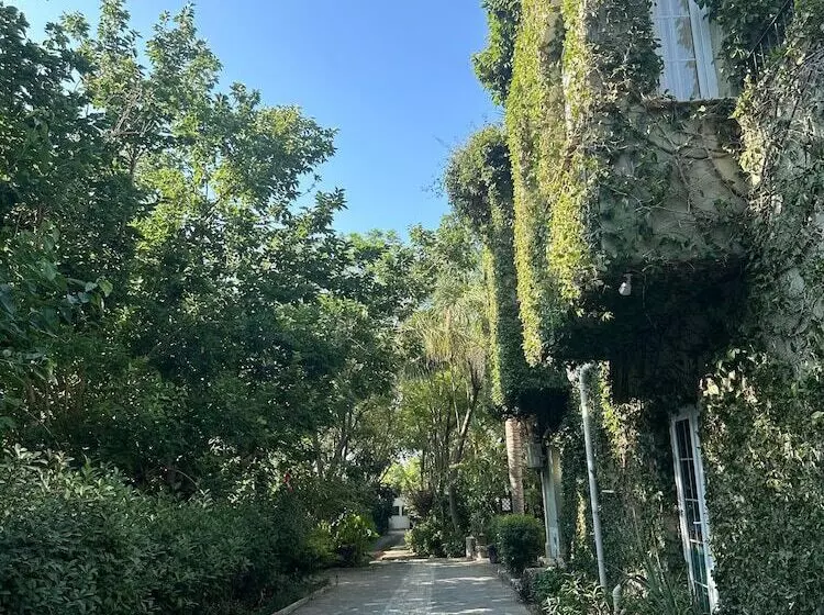 ベッドアンドブレックファースト Babil Bahçeleri Butik Hotel & Cafe