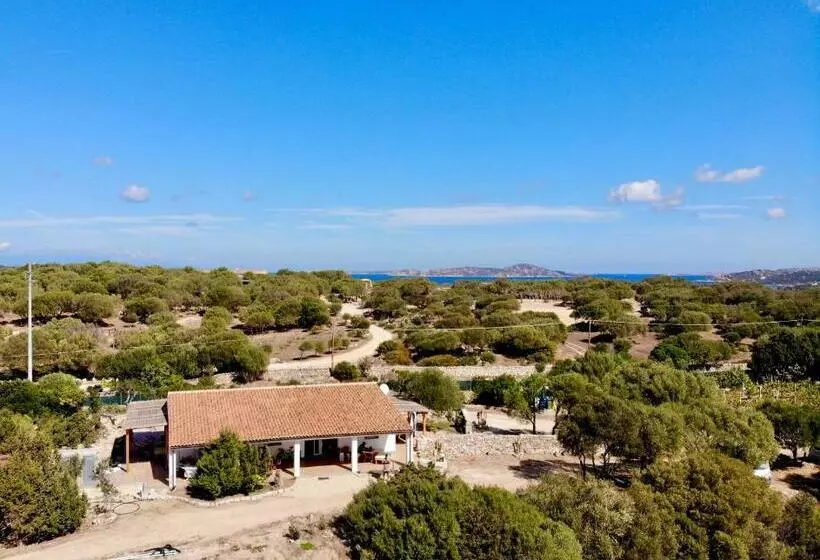 ベッドアンドブレックファースト Windflake Resort