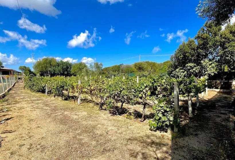 ベッドアンドブレックファースト Windflake Resort