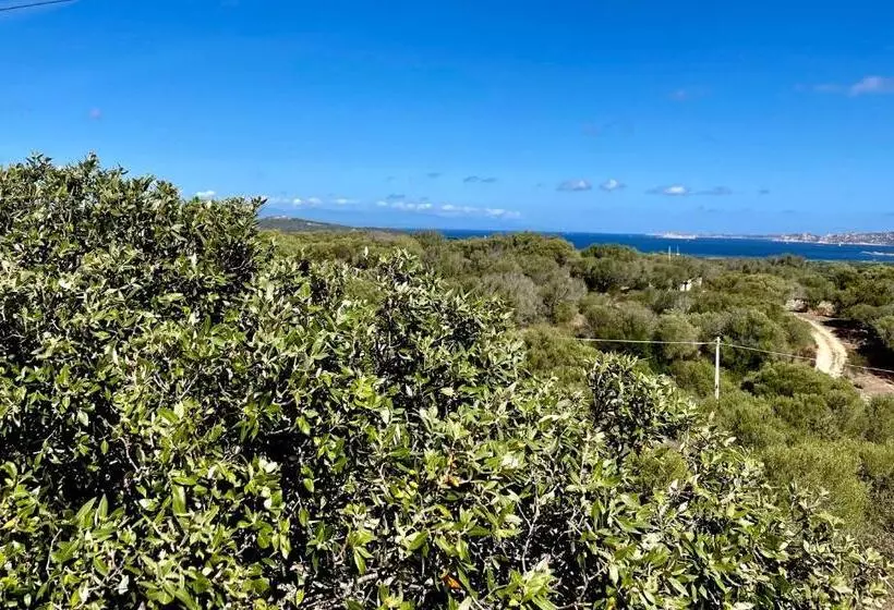 ベッドアンドブレックファースト Windflake Resort