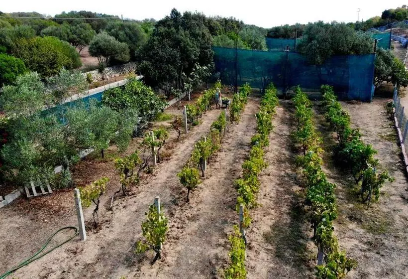 ベッドアンドブレックファースト Windflake Resort