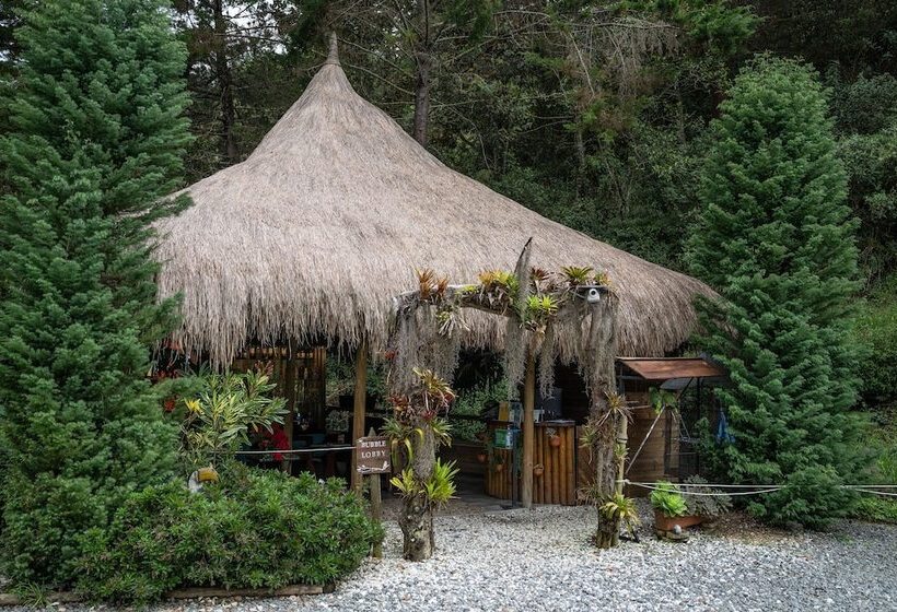 Hotel Bubblesky Glamping