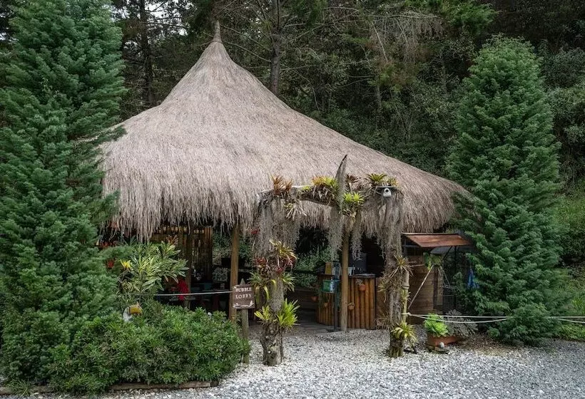 ホテル Bubblesky Glamping