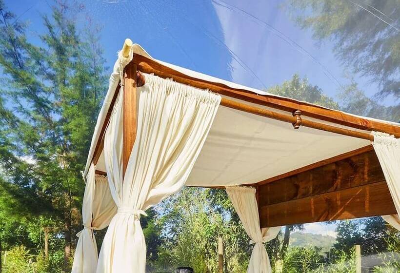 Hotel Bubblesky Glamping