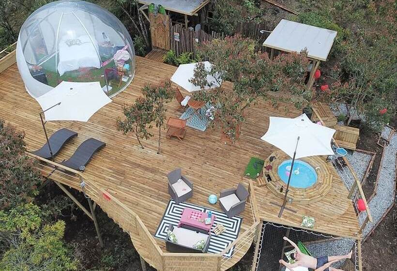Hotel Bubblesky Glamping
