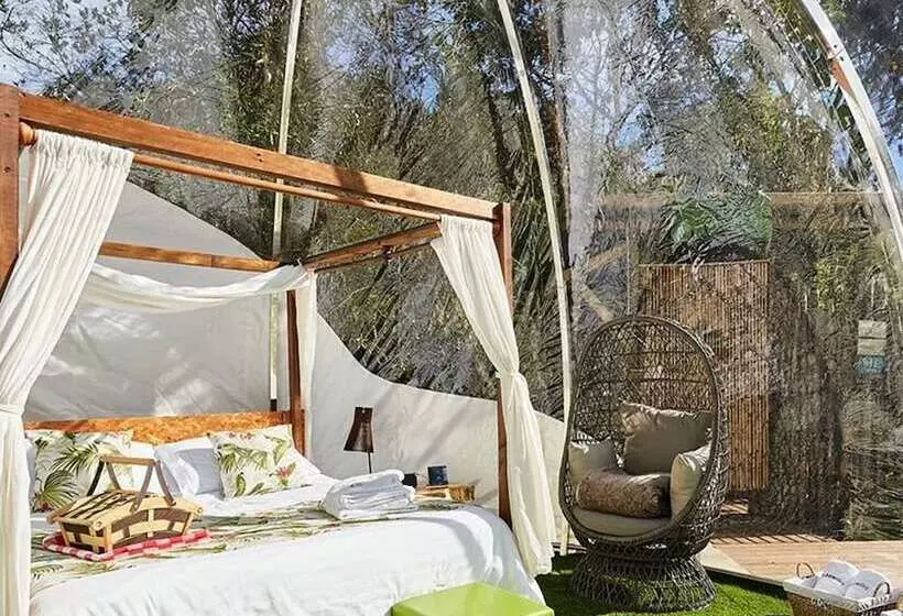 ホテル Bubblesky Glamping