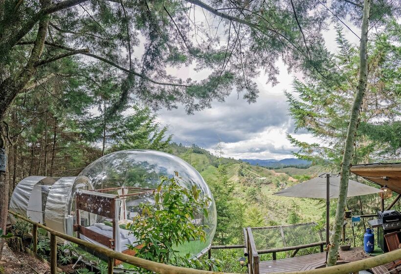Hotel Bubblesky Glamping