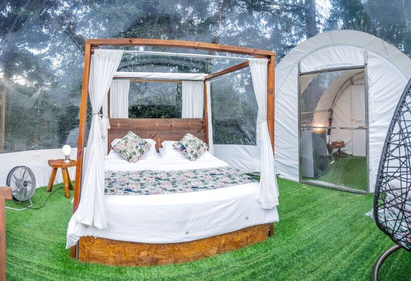 Hotel Bubblesky Glamping