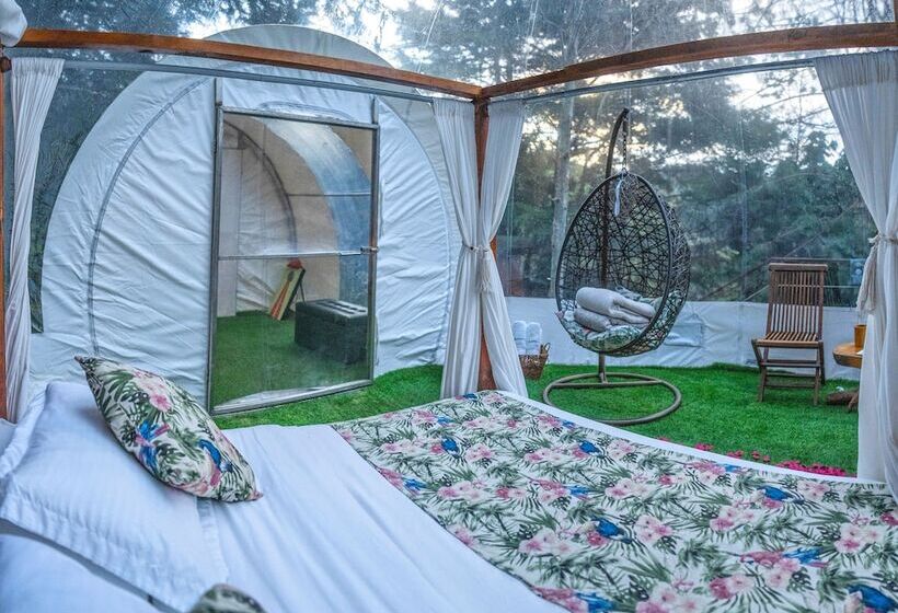 Hotel Bubblesky Glamping