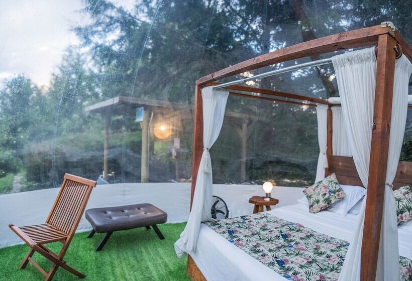 Hotel Bubblesky Glamping