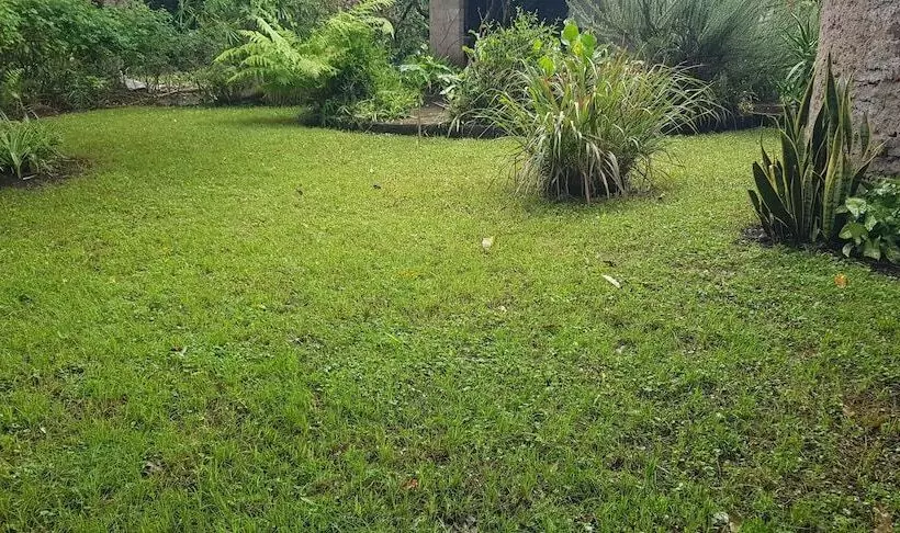 ホテル Tanzanin Eco Home & Camp