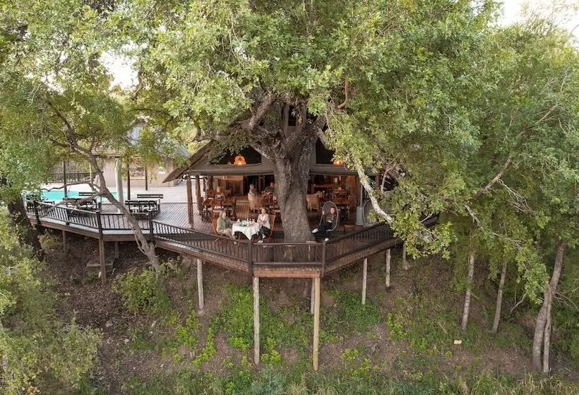 ホテル Umkumbe Bush Lodge   Luxury Tented Camp