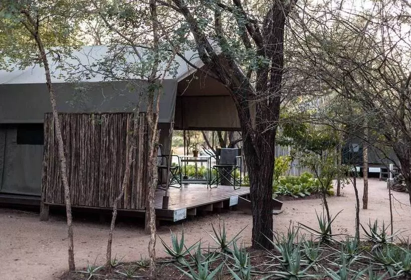 ホテル Umkumbe Bush Lodge   Luxury Tented Camp