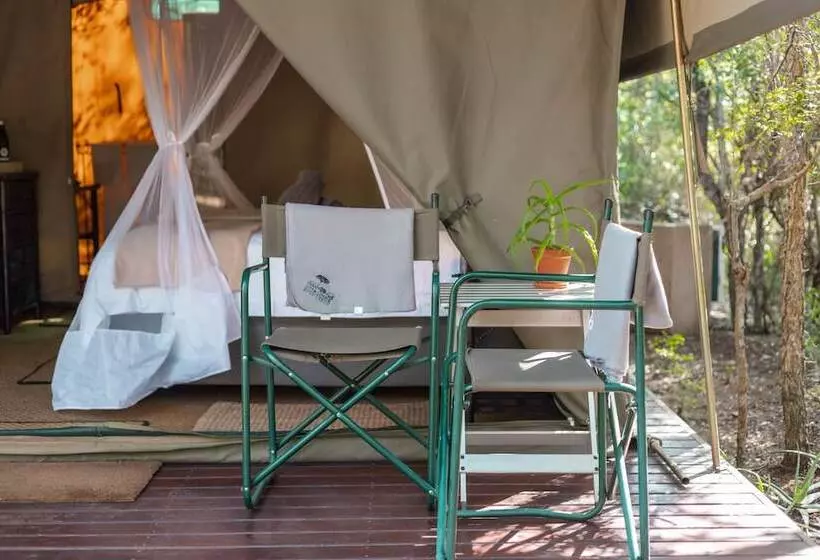 ホテル Umkumbe Bush Lodge   Luxury Tented Camp