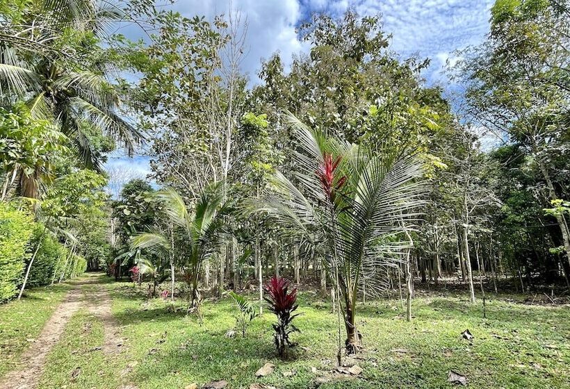 ホテル Villa Sebastiana Bungalows