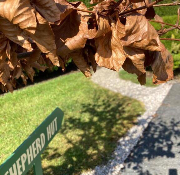 פנסיון Barr S Guest Accommodation