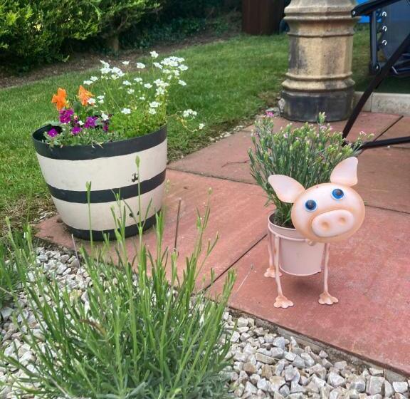 פנסיון Barr S Guest Accommodation