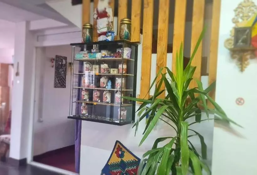 Pensiunea Runcu Stone