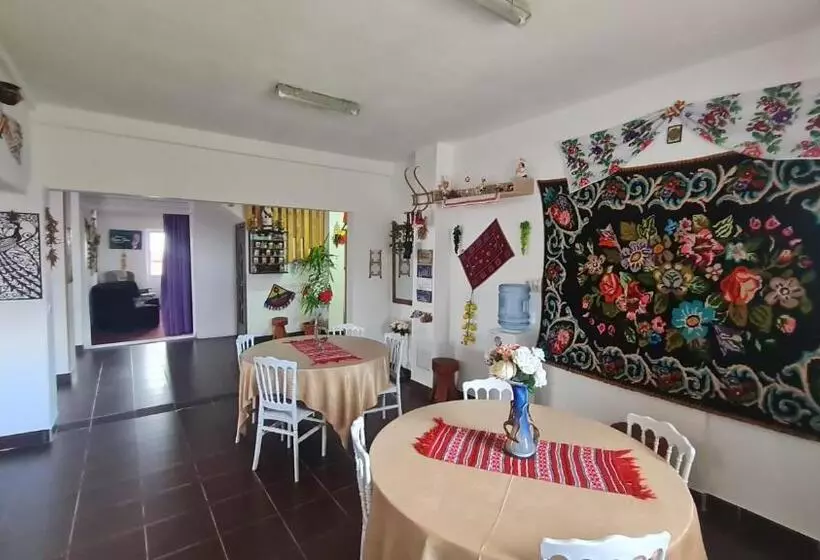 Pensiunea Runcu Stone