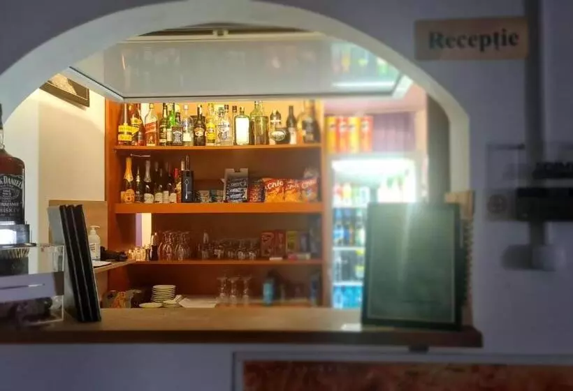 Pensiunea Runcu Stone