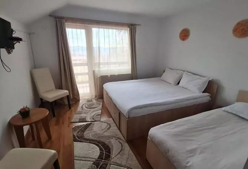 Pensiunea Runcu Stone