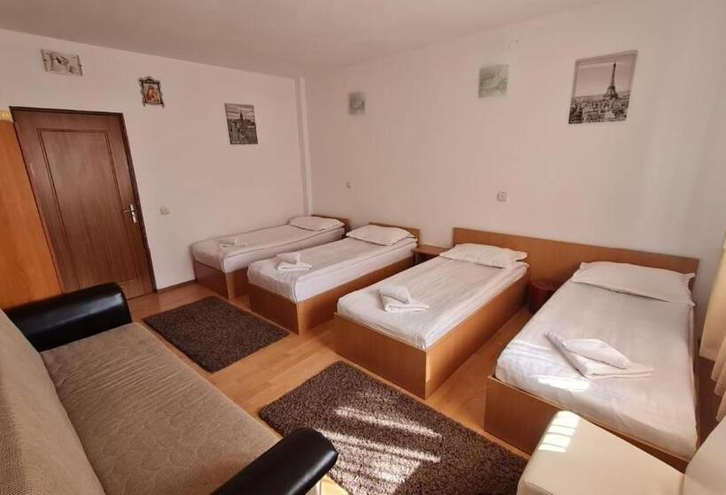 Pensiunea Runcu Stone