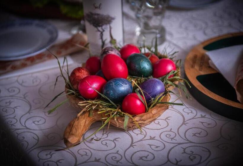 Pensiunea Runcu Stone