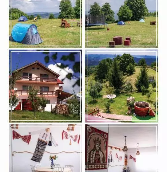 Pensiunea Runcu Stone