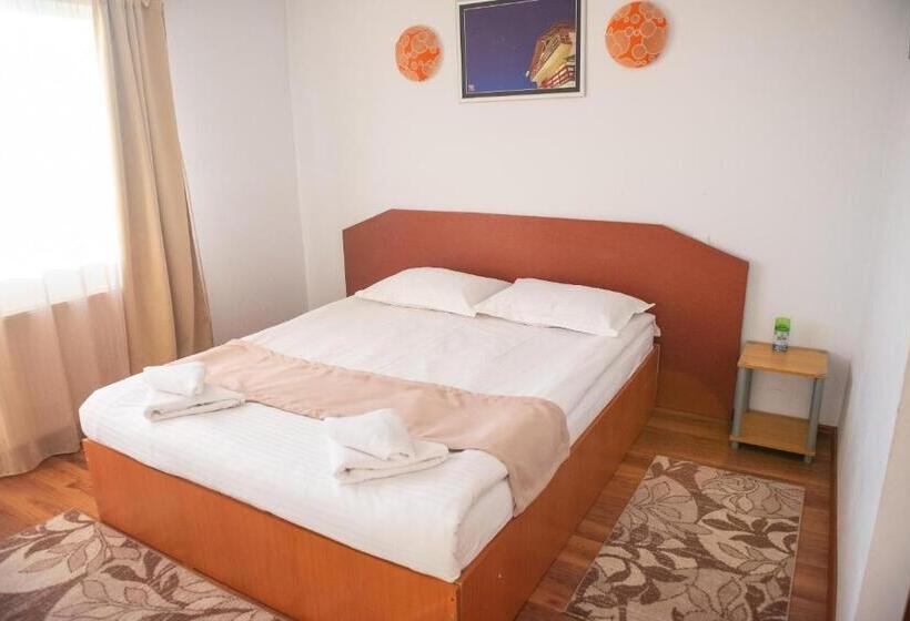 Pensiunea Runcu Stone