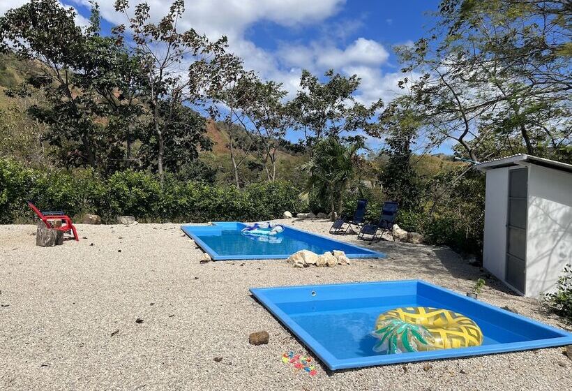 住宿加早餐  Barcaza Maria Del Mar