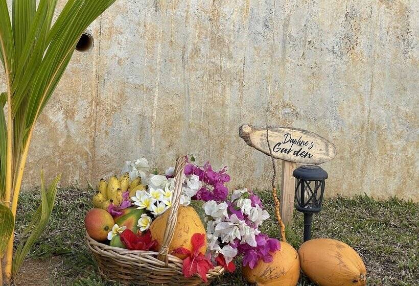 هتل B Holiday Apartments