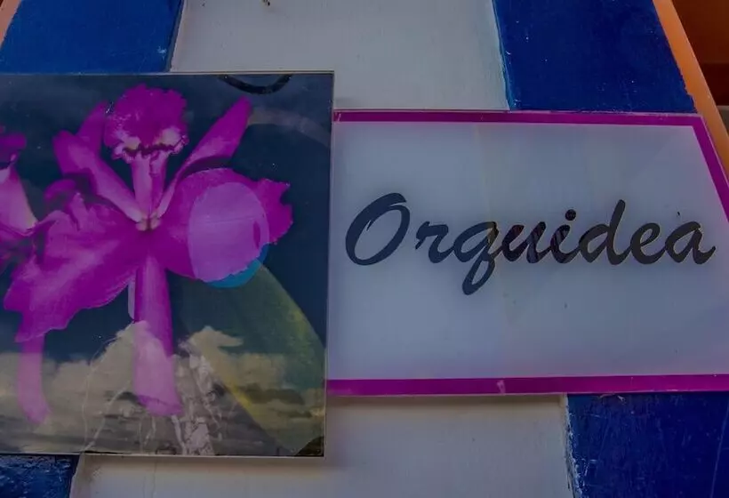 ホテル Terra Belén