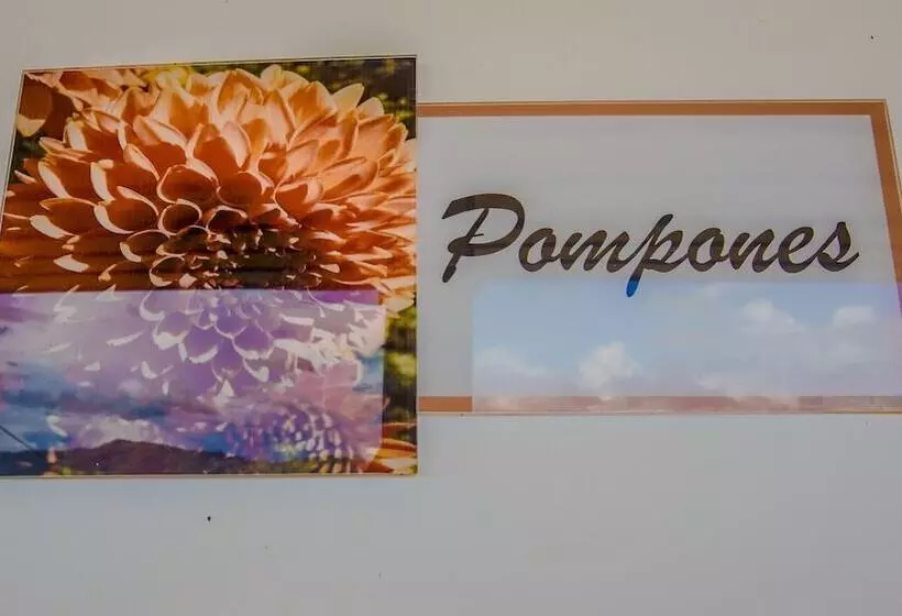 ホテル Terra Belén