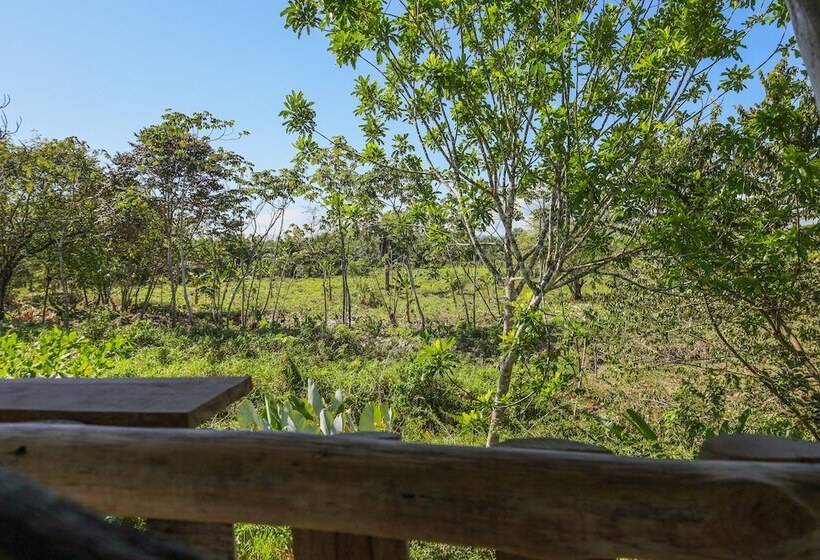 هتل La Muñequita Lodge