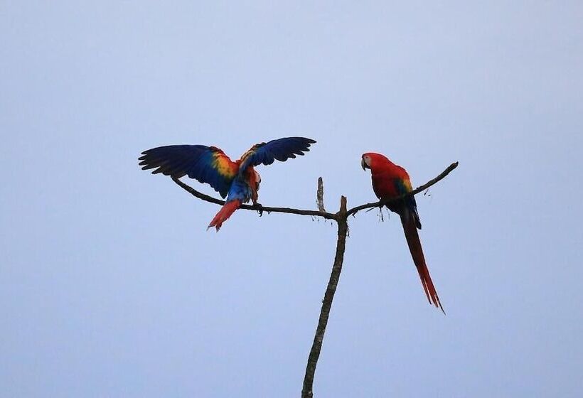 هتل La Muñequita Lodge