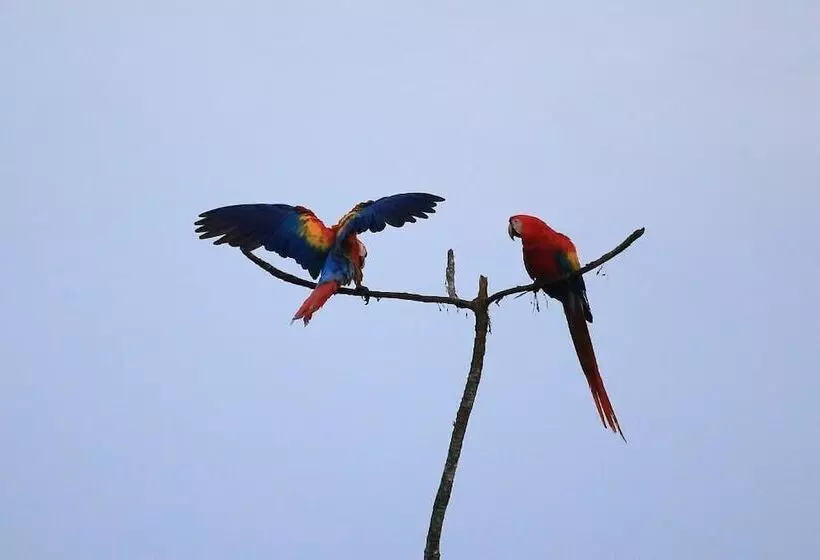 ホテル La Muñequita Lodge