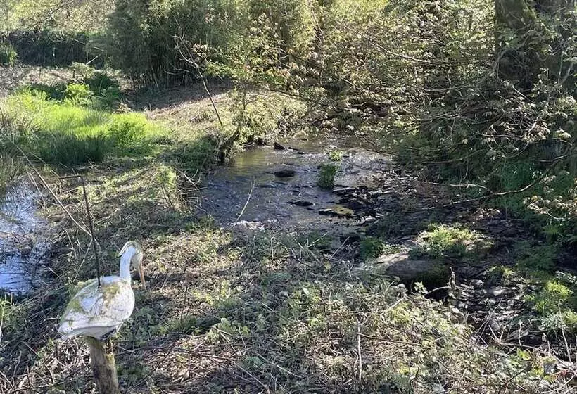 Lovely Shepherds Hut In Cornwall