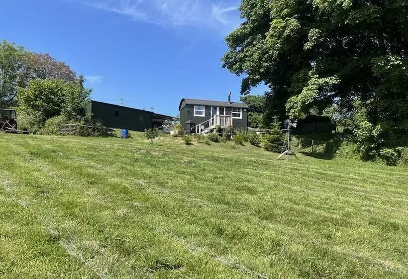 Lovely Shepherds Hut In Cornwall