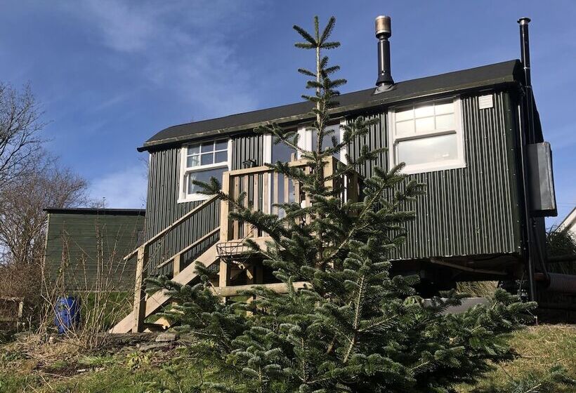 Lovely Shepherds Hut In Cornwall