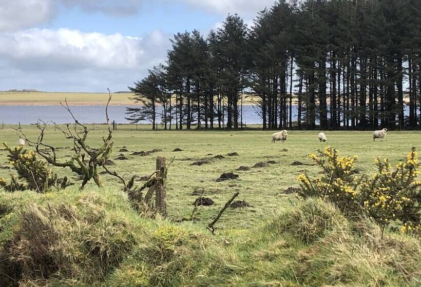 Lovely Shepherds Hut In Cornwall