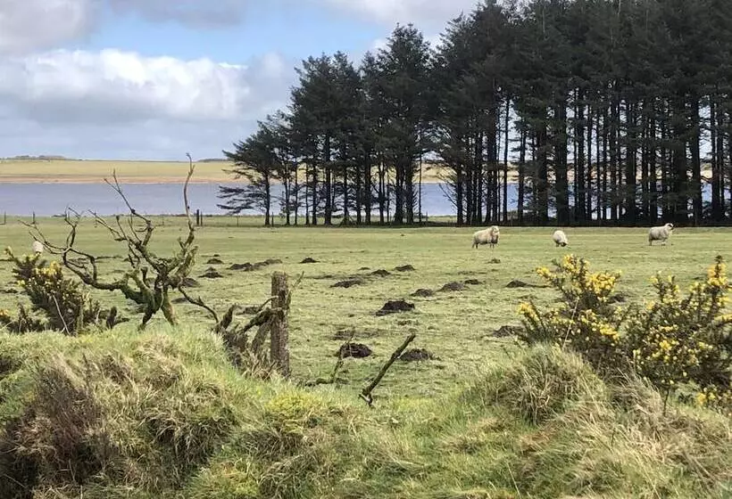 Lovely Shepherds Hut In Cornwall